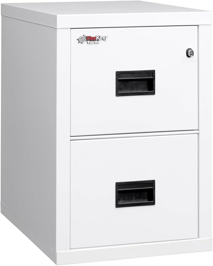 FireKing Turtle Vertical 2 Drawer Legal and Letter Fire Safe File Cabinet by FireKing
